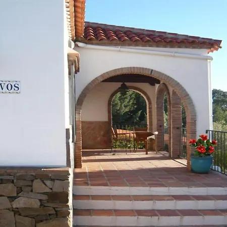 Olivos Sayalonga